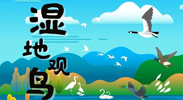 【獨(dú)立觀鳥一日營】走進(jìn)白馬湖濕地，一起來探尋鳥兒的秘密